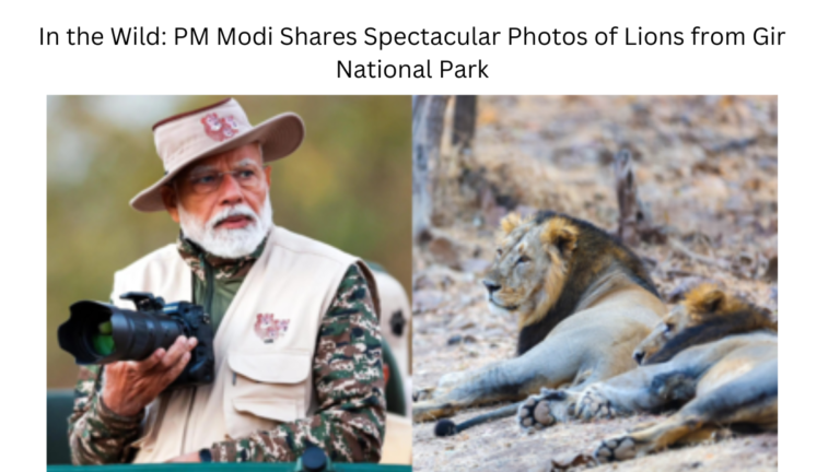 In the Wild: PM Modi Shares Spectacular Photos of Lions from Gir National Park